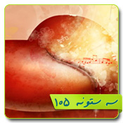 قالب وبلاگ عاشقانه