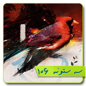 قالب وبلاگ پرنده عاشق